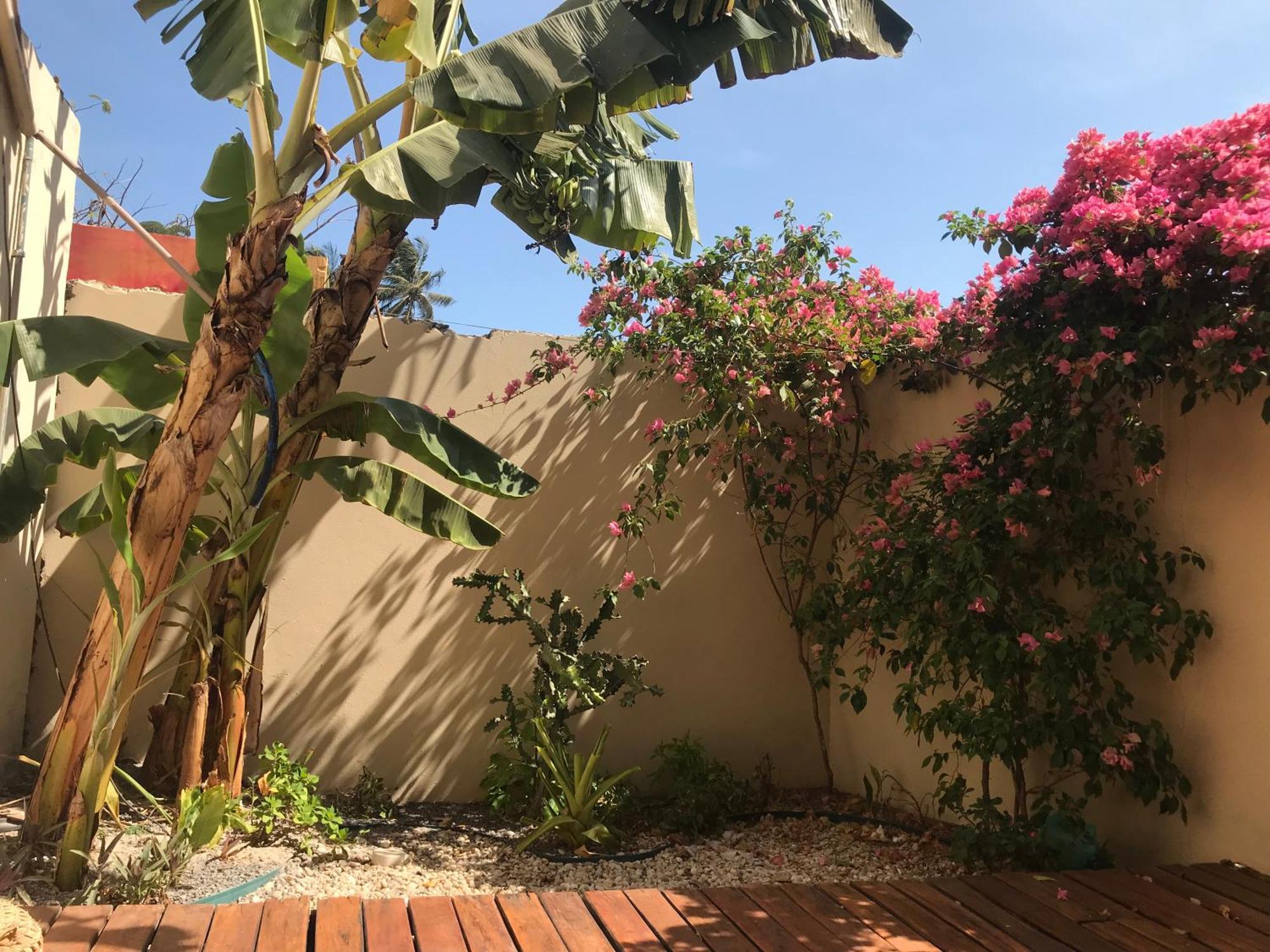 ホテル Casa Eolica バーハ・グランデ エクステリア 写真