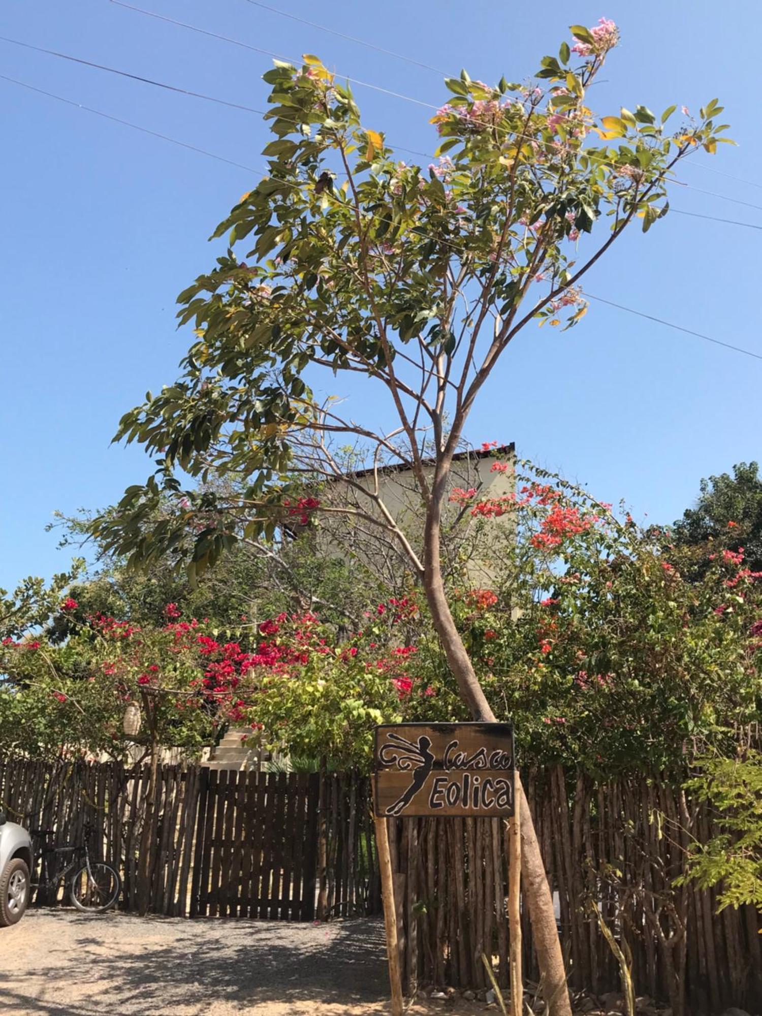 ホテル Casa Eolica バーハ・グランデ エクステリア 写真